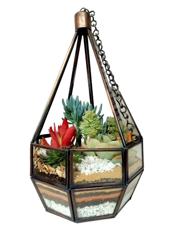 Hanging Designer Glass Terrarium