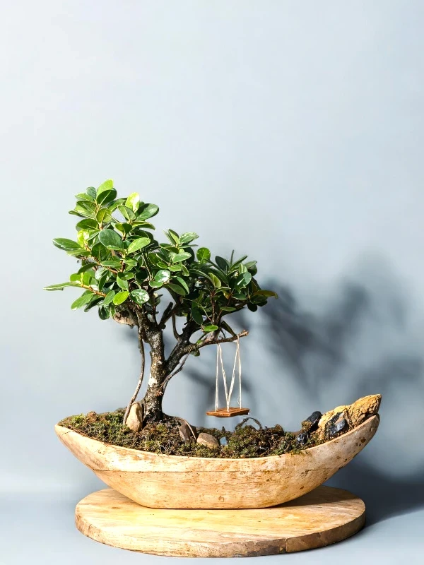 Bonsai hand carved ship shaped pot miniature wooden swing and fairy lights