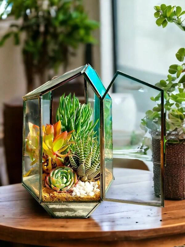 Pentagon Glass Terrarium for Gifting