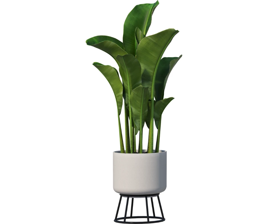 Home Decor Gifts